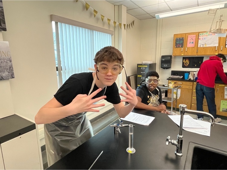 lab